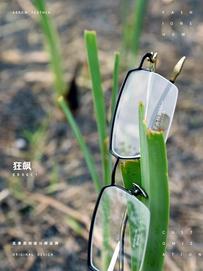 Original Titanium Frames1