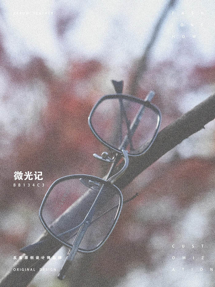 dual layer titanium frames2