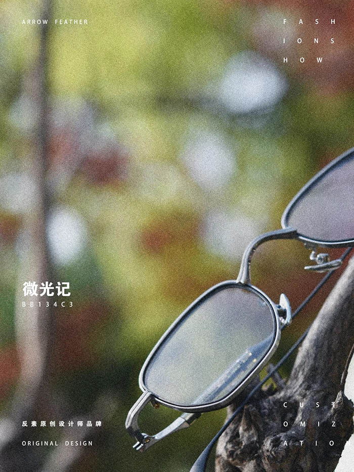 dual layer titanium frames3