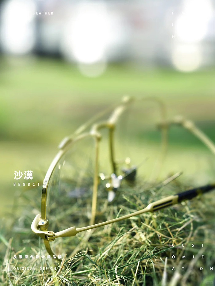 pure titanium aviator frames1