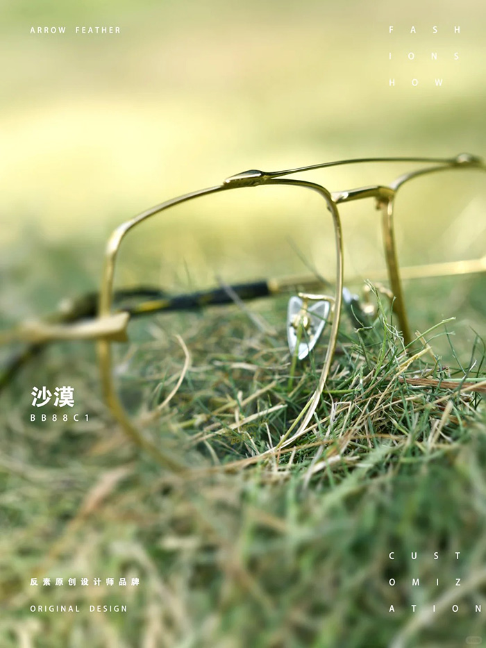 pure titanium aviator frames2
