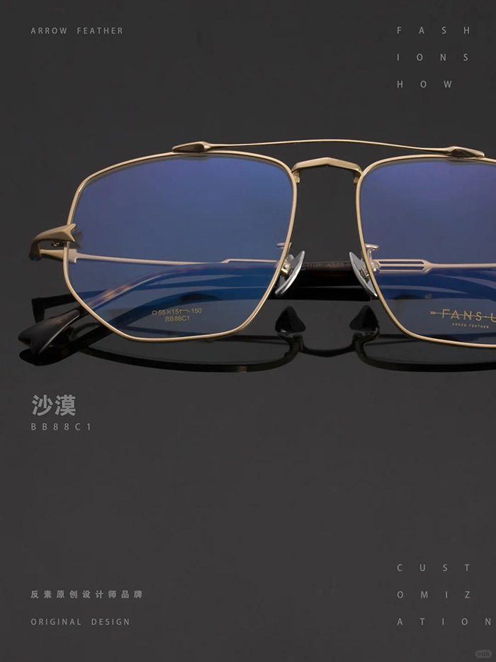 pure titanium aviator frames4
